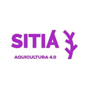Oportunidade
