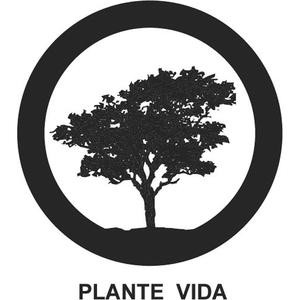 Oportunidade