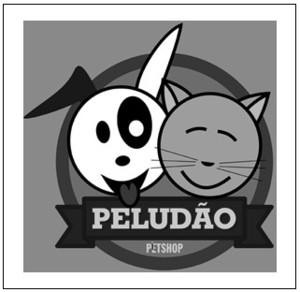 Oportunidade