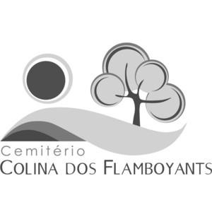 Oportunidade