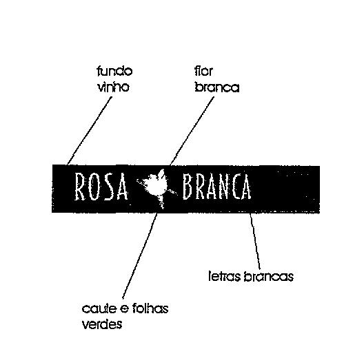 Oportunidade