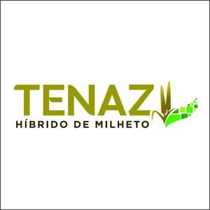 Oportunidade