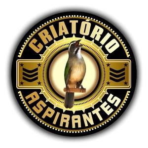 Oportunidade