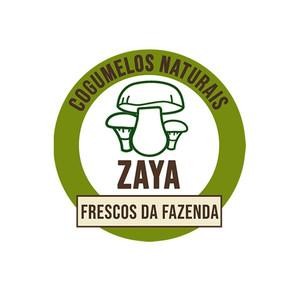 Oportunidade
