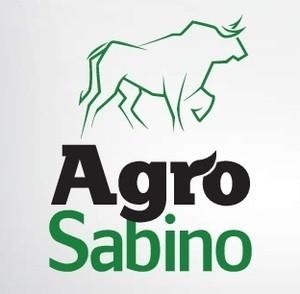 Oportunidade