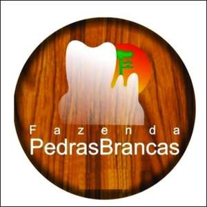 Oportunidade