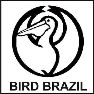 Oportunidade