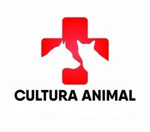 Oportunidade