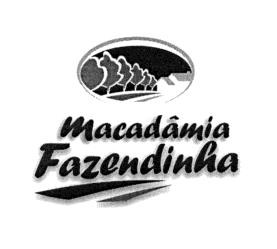 Oportunidade