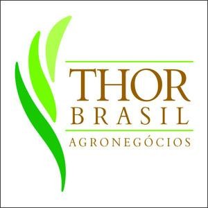 Oportunidade