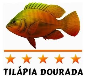 Oportunidade