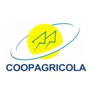 Oportunidade