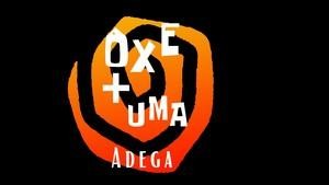 Oportunidade