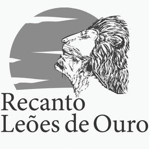 Oportunidade